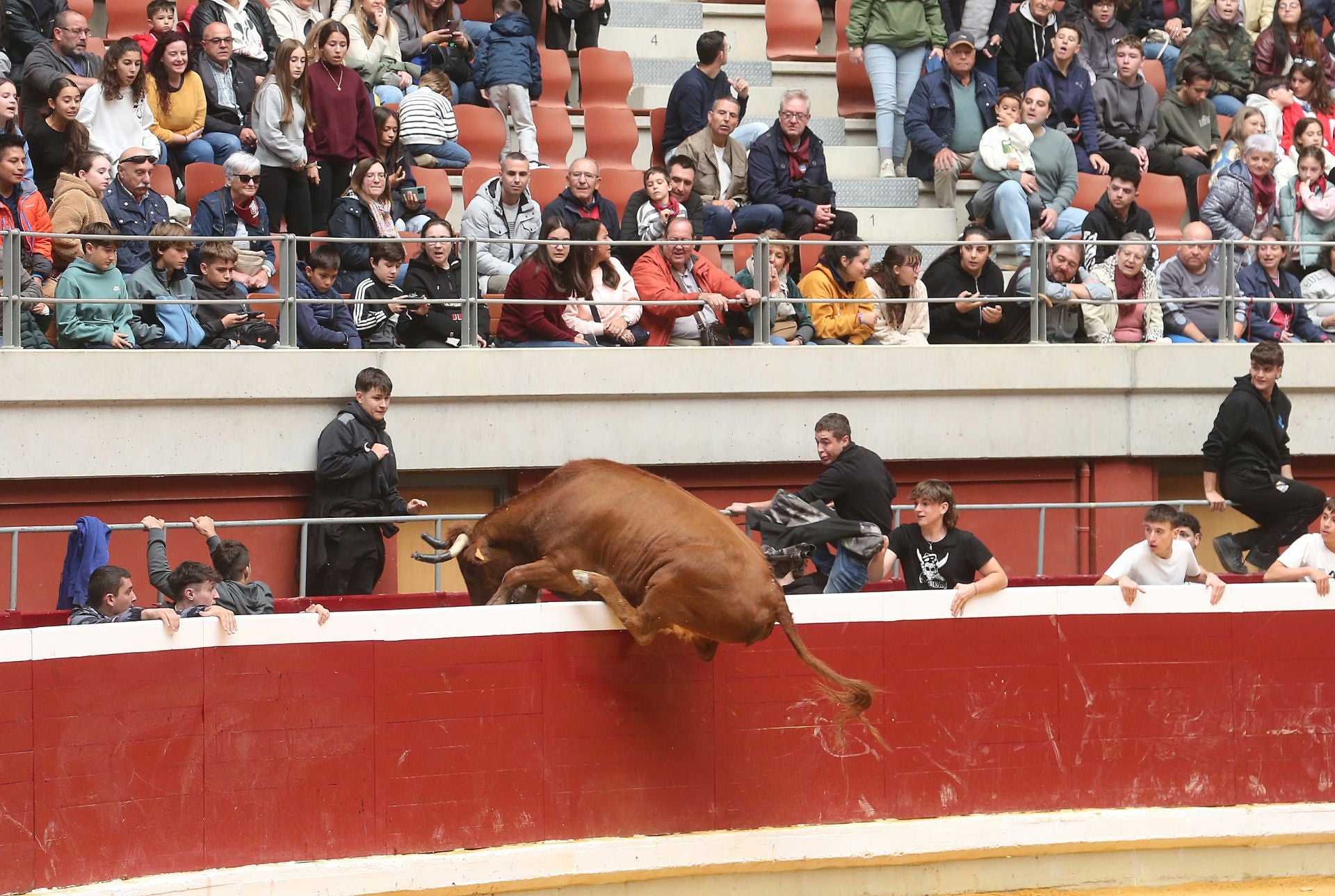 Las vaquillas tampoco defraudan el miércoles