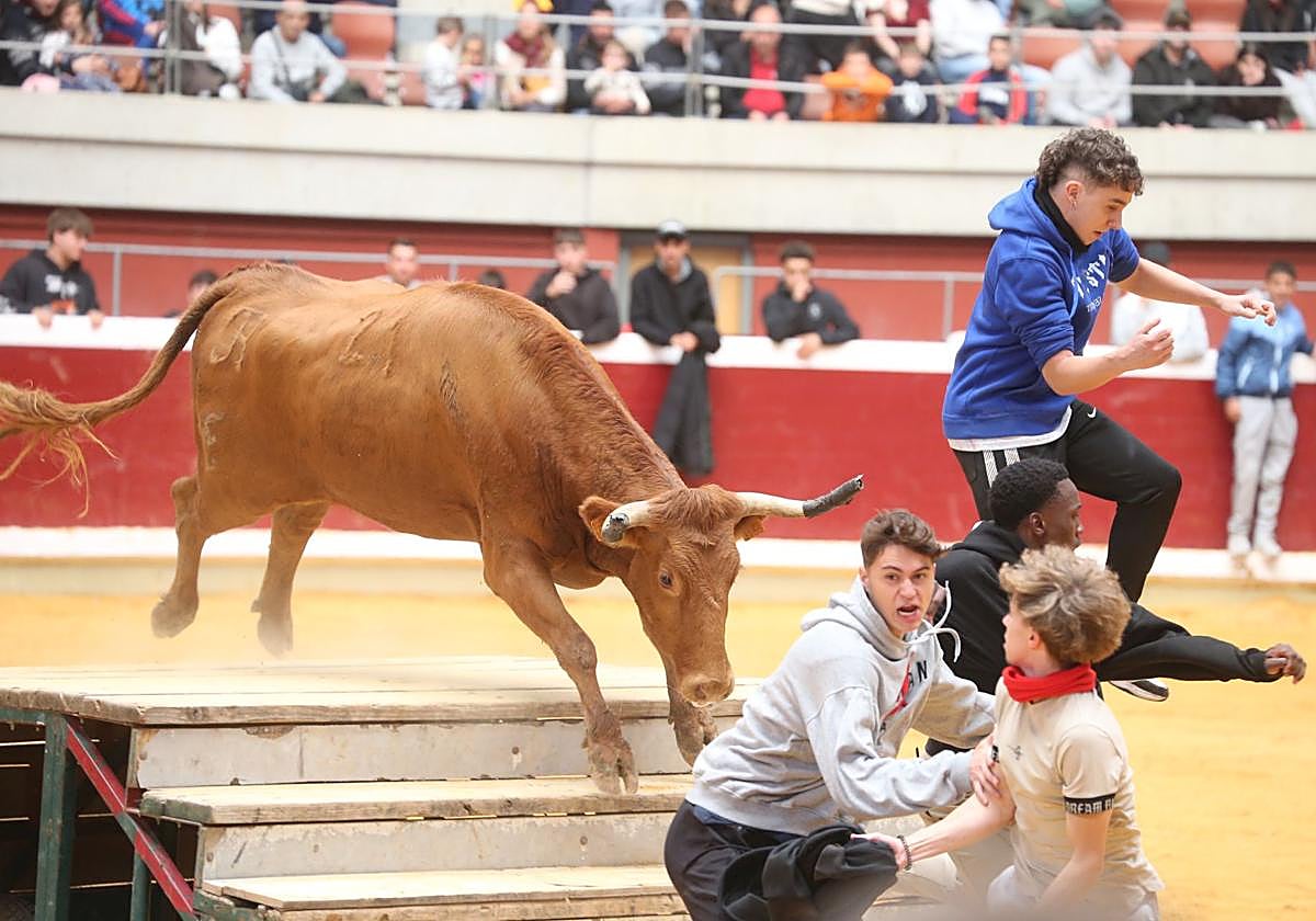 Las vaquillas tampoco defraudan el miércoles