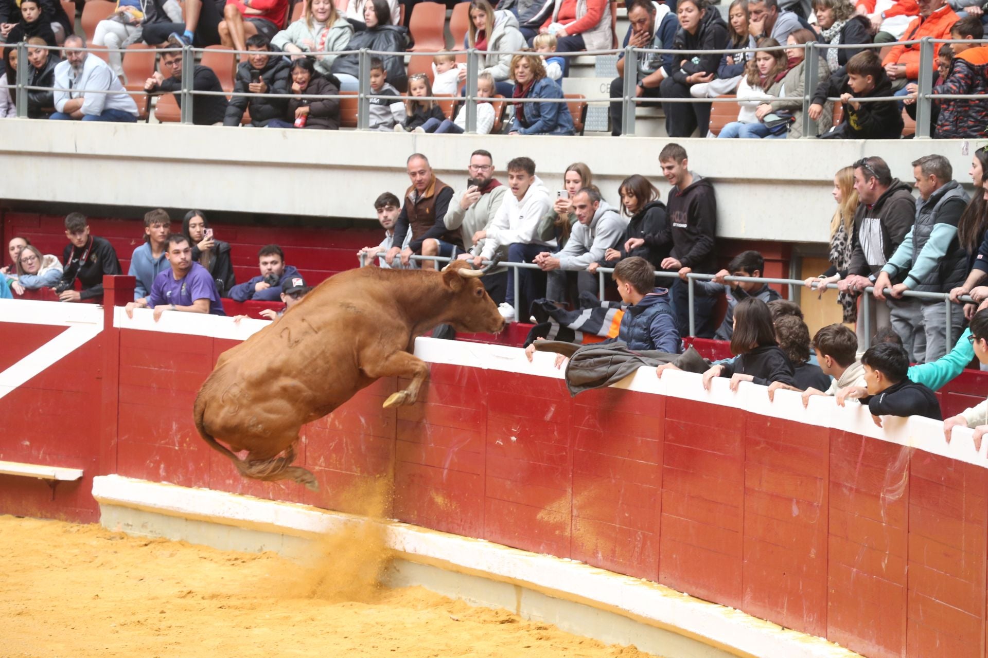 Las vaquillas tampoco defraudan el miércoles