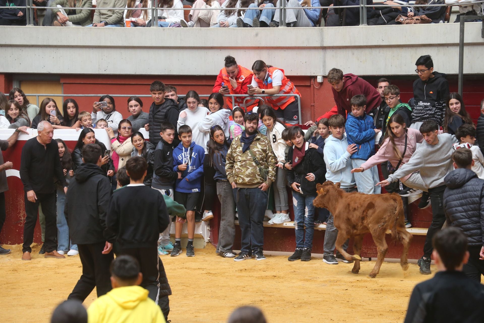Las vaquillas tampoco defraudan el miércoles