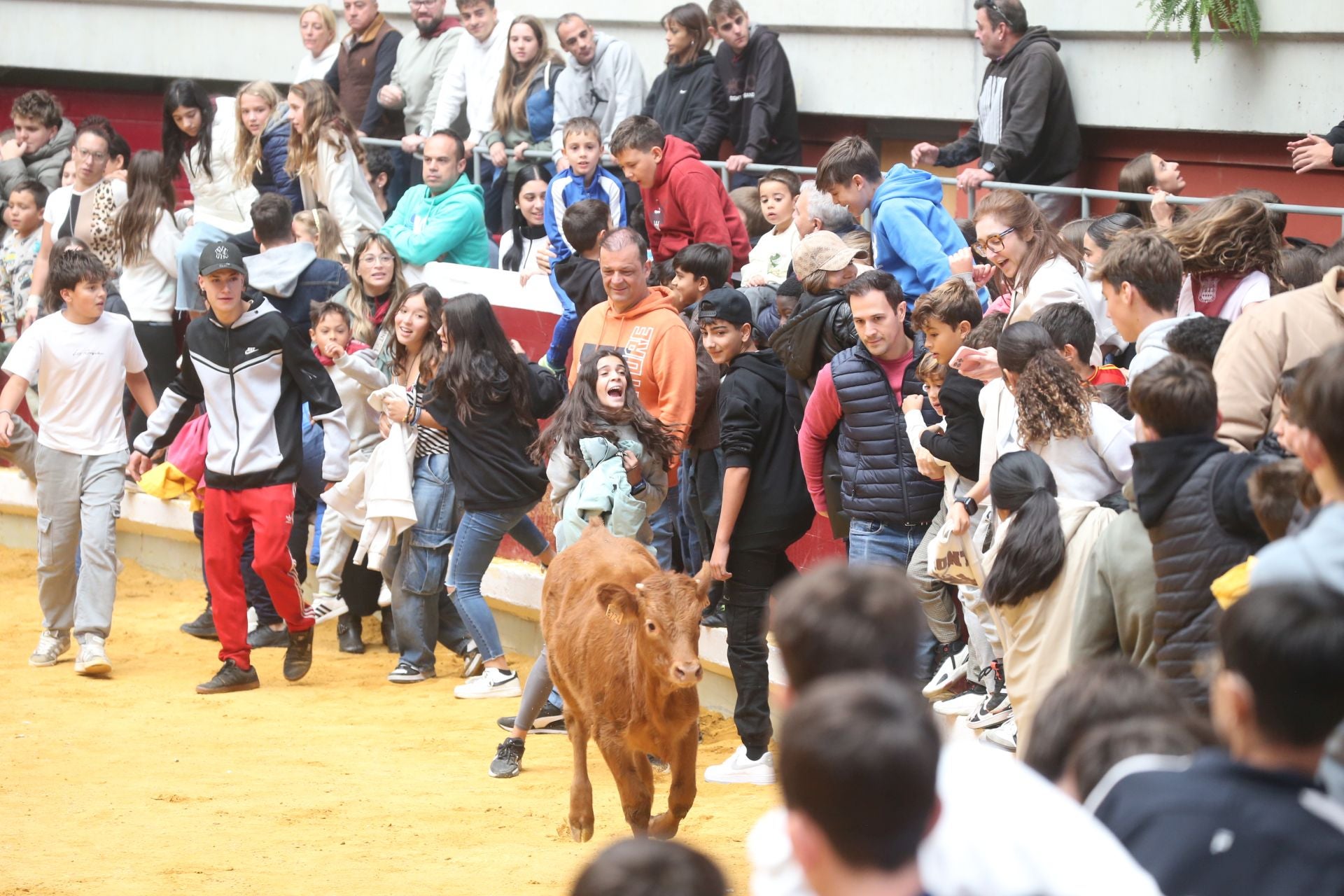 Las vaquillas tampoco defraudan el miércoles