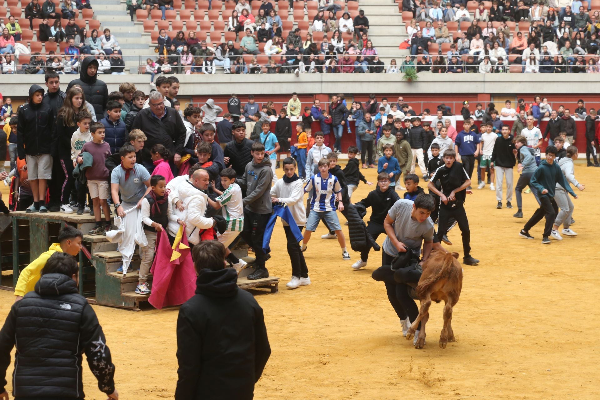 Las vaquillas tampoco defraudan el miércoles