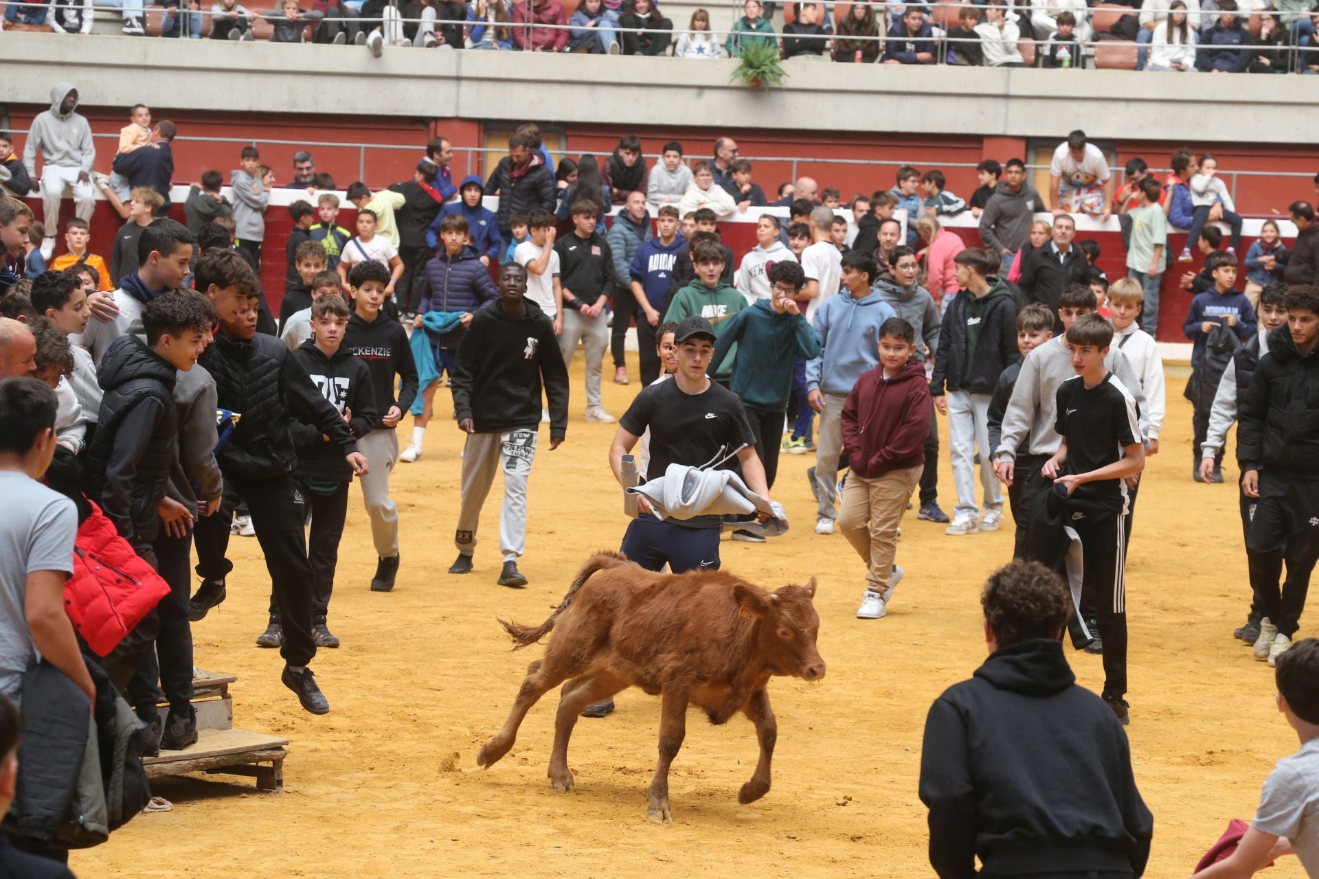 Las vaquillas tampoco defraudan el miércoles