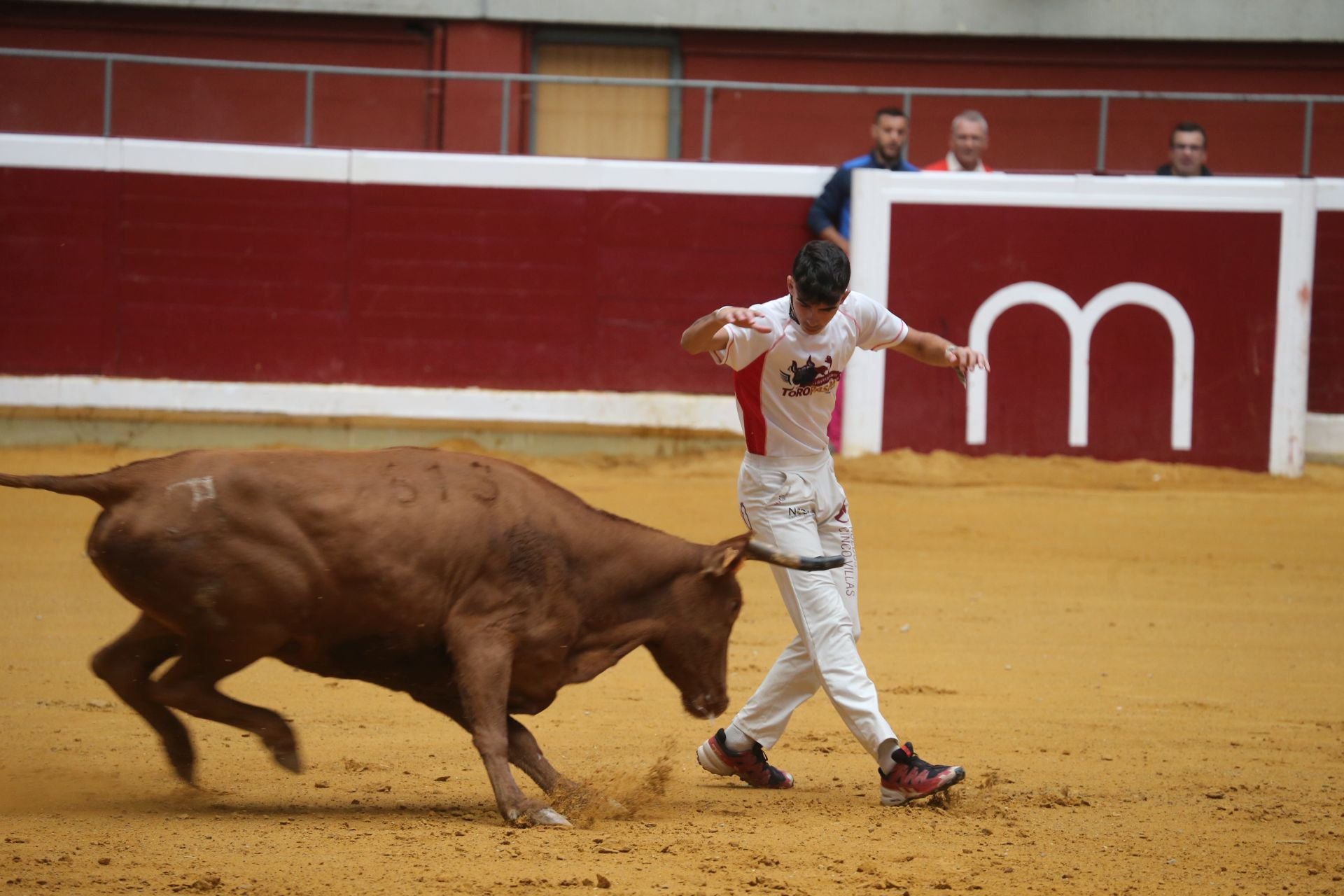 Las vaquillas tampoco defraudan el miércoles