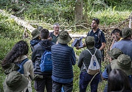 Imagen de una visita interpretativa realizada en junio de 2024, llegando al soto del Madrigal.