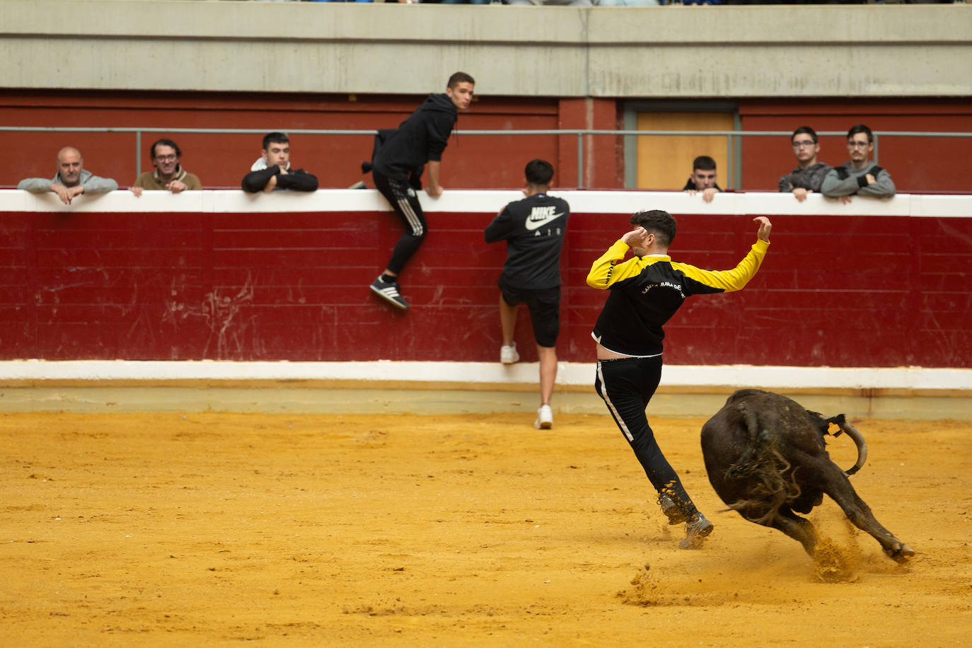 Las imágenes de las vaquillas del jueves