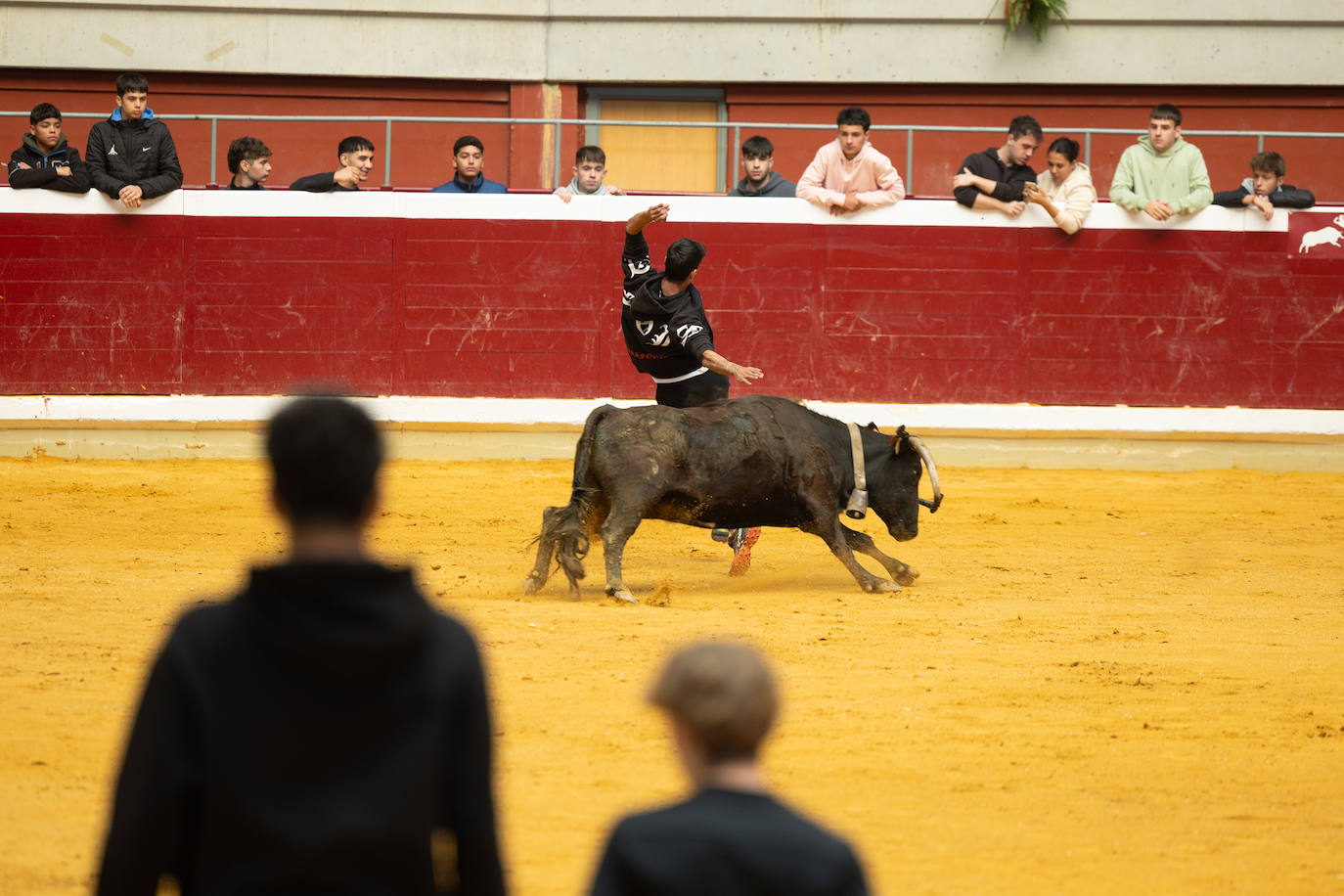 Las imágenes de las vaquillas del jueves