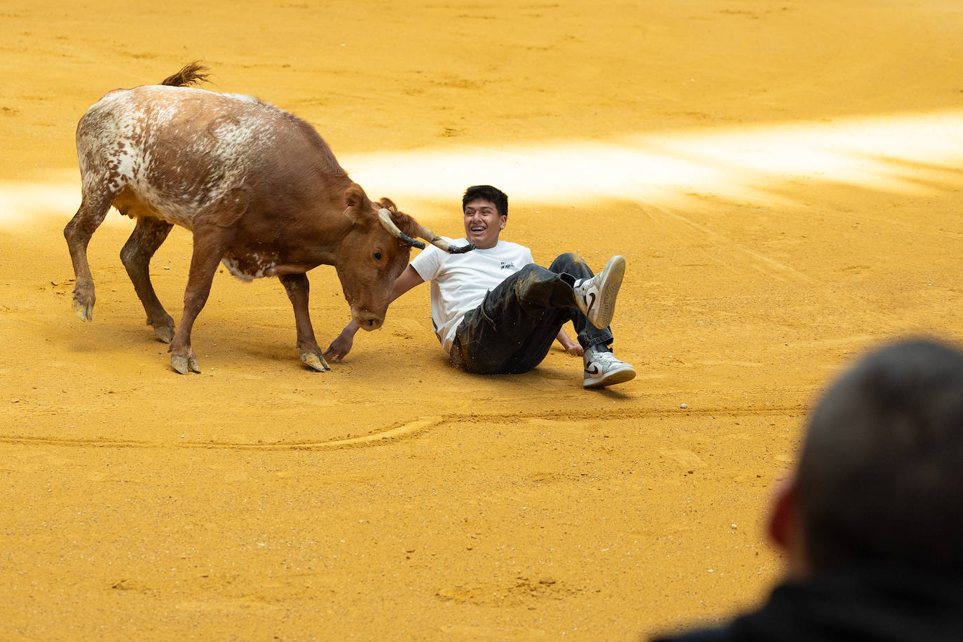Las imágenes de las vaquillas del jueves