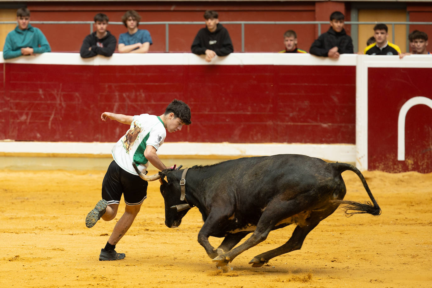 Las imágenes de las vaquillas del jueves