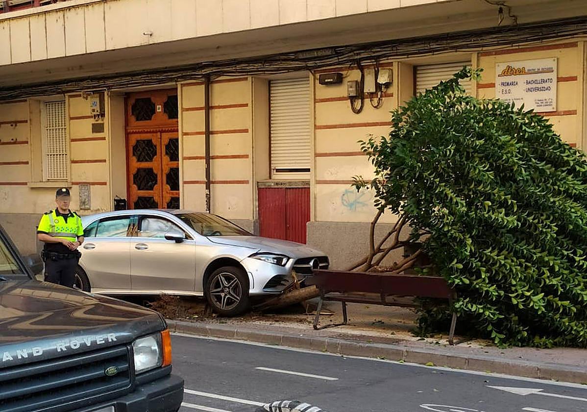 El vehículo, que ha invadido la acera y embestido a un árbol.