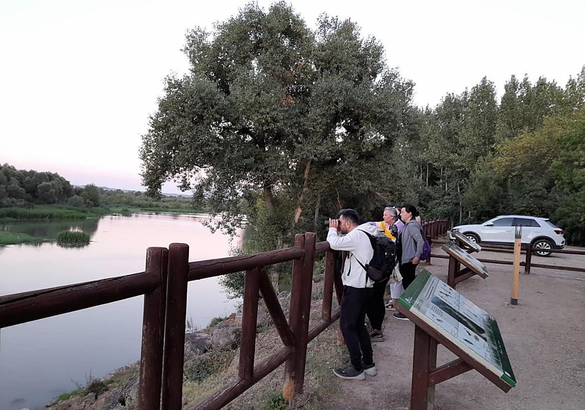 La invitación para este atardecer es dejarse conducir por los sonidos y luces de la reserva de los Sotos.