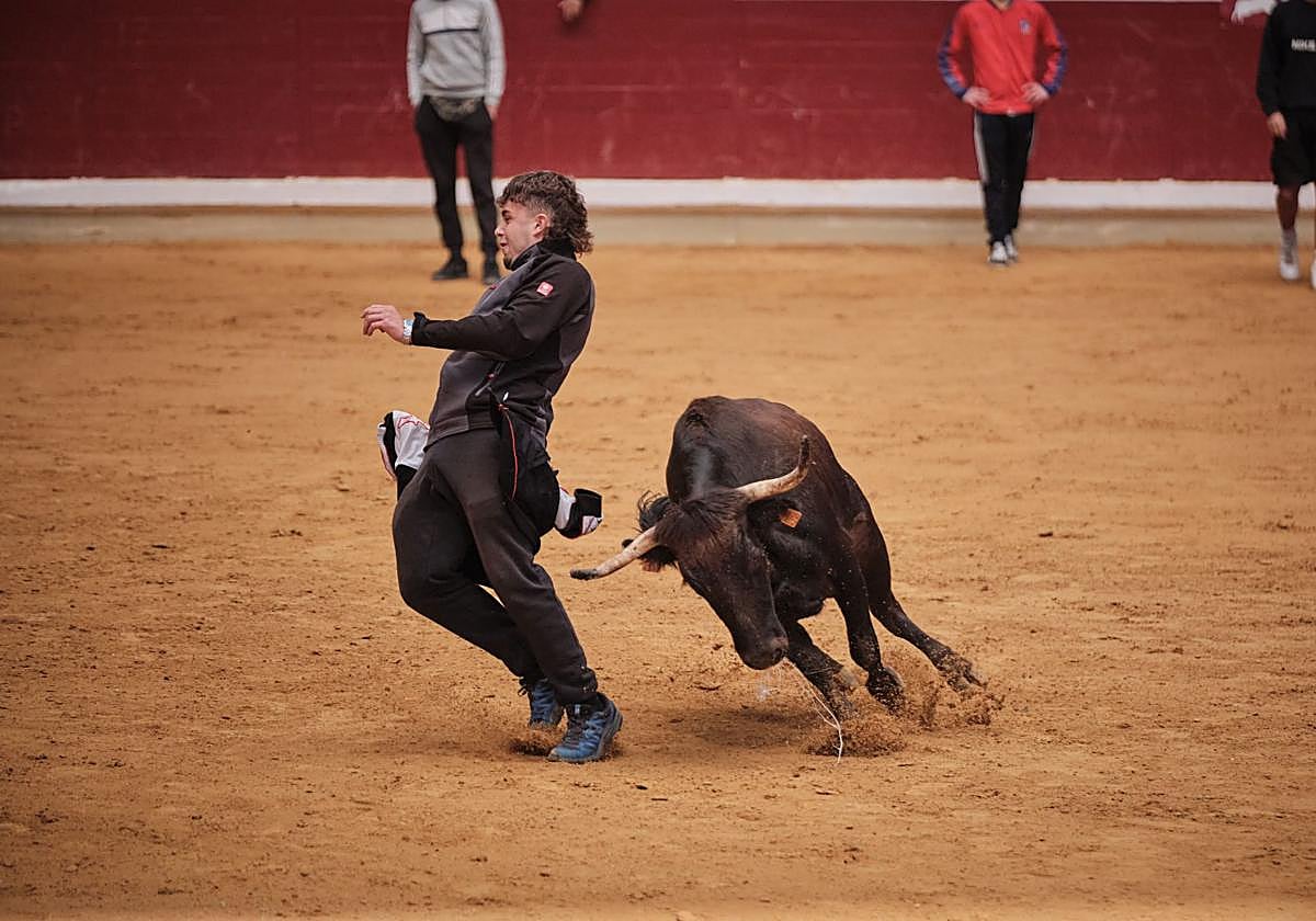 Último día de vaquillas en La Ribera