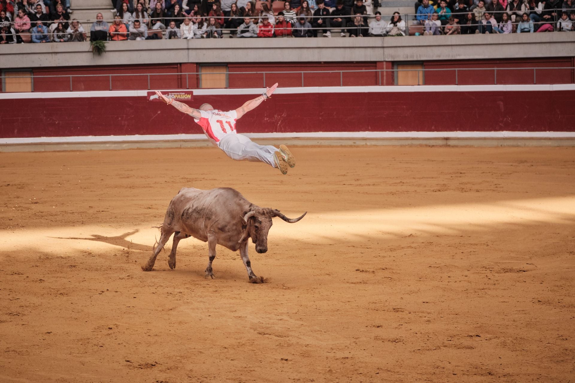 Último día de vaquillas en La Ribera