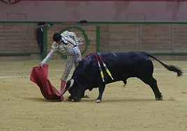 Derechazo del portugués Tomás Bastón con un novillo de El Retamar.