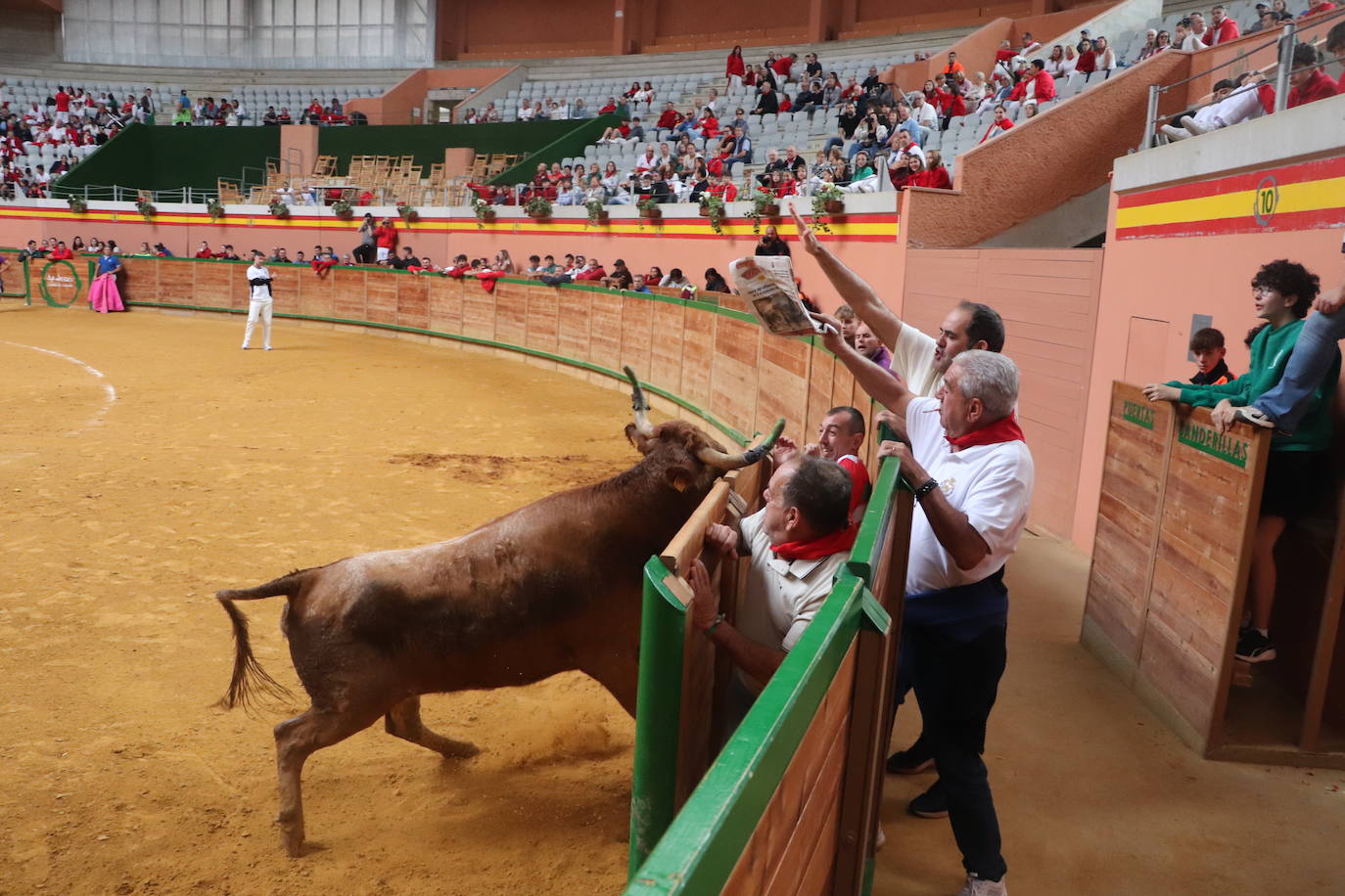 Las imágenes del domingo de fiestas en Arnedo