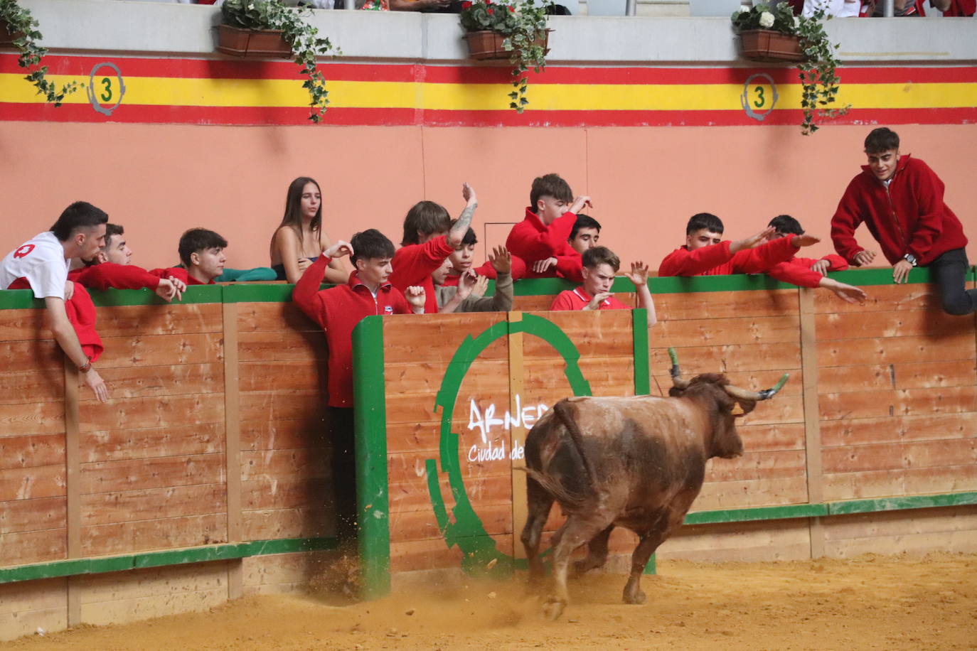 Las imágenes del domingo de fiestas en Arnedo