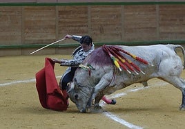 El calagurritano Alberto Donaire cortó una oreja en el primero.