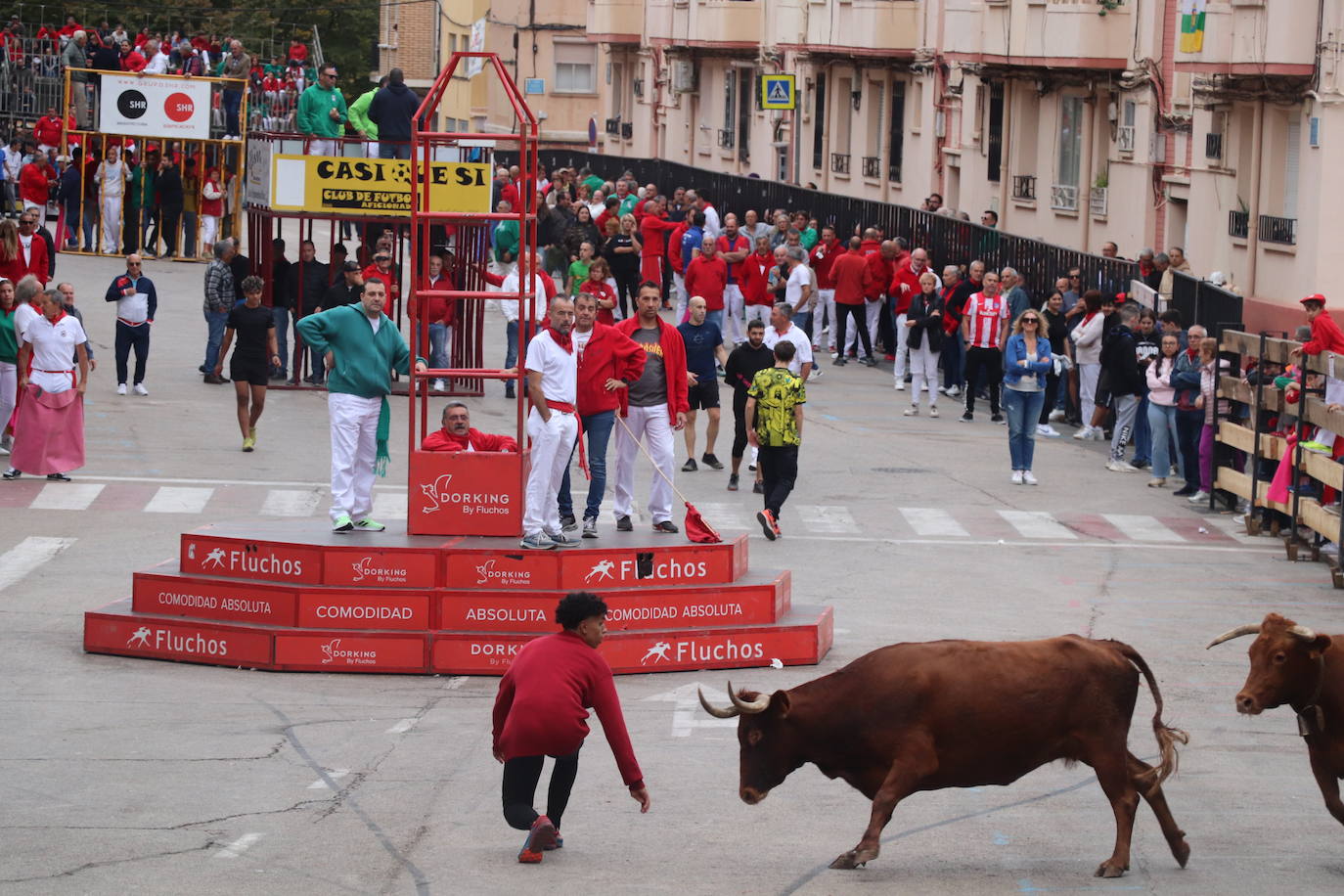 Las imágenes de las fiestas de Arnedo