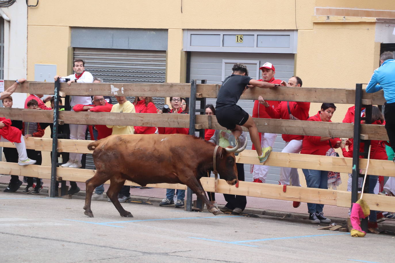 Las imágenes de las fiestas de Arnedo