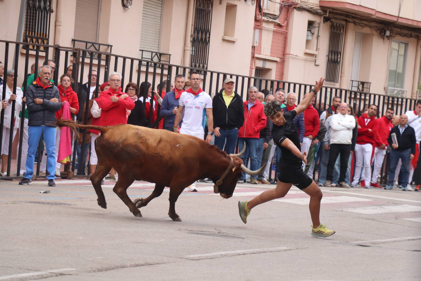 Las imágenes de las fiestas de Arnedo