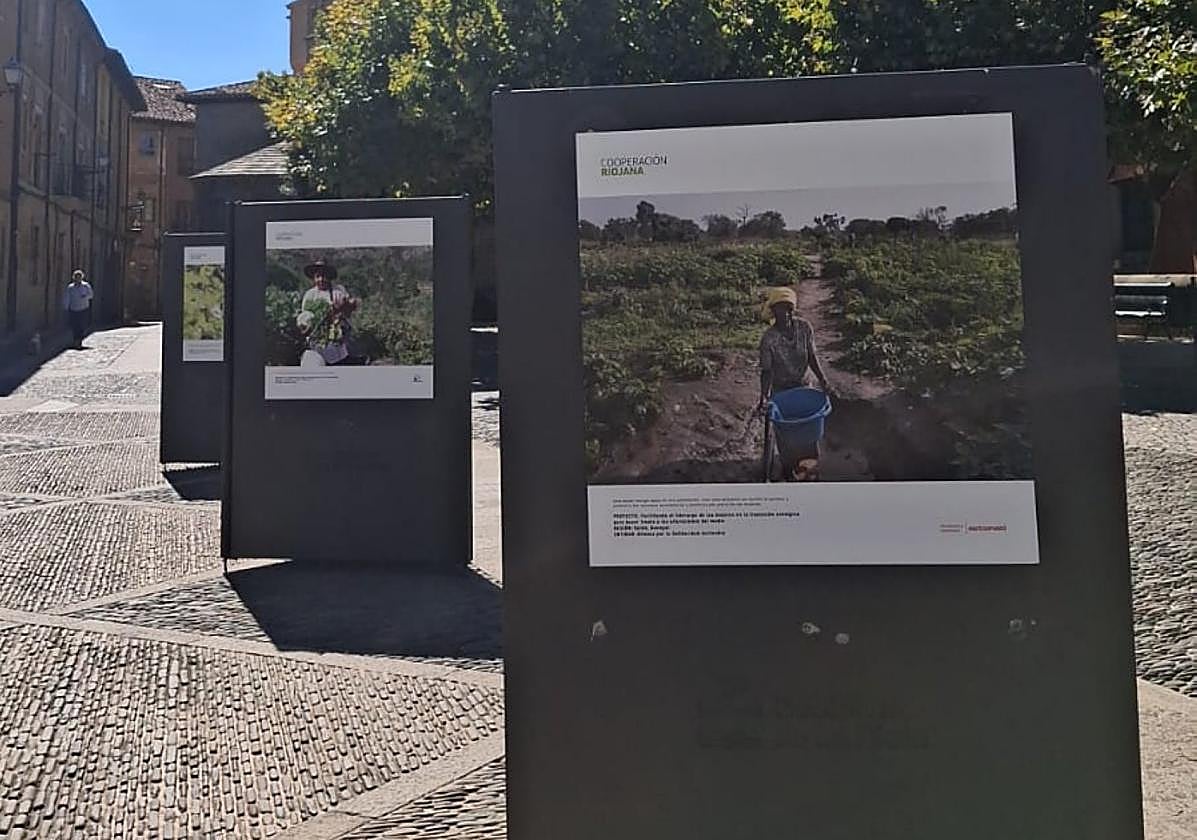 Otras noticias de Santo Domingo y San Asensio