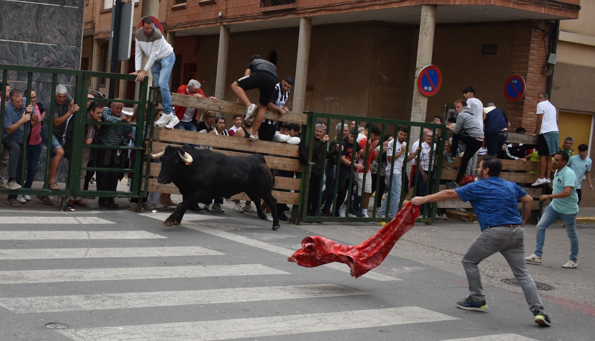 Las imágenes de las fiestas de Rincón de Soto