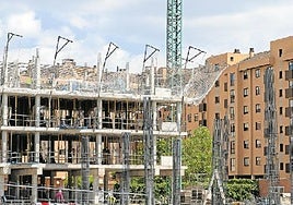 Suplemento especial: un mercado de difícil acceso