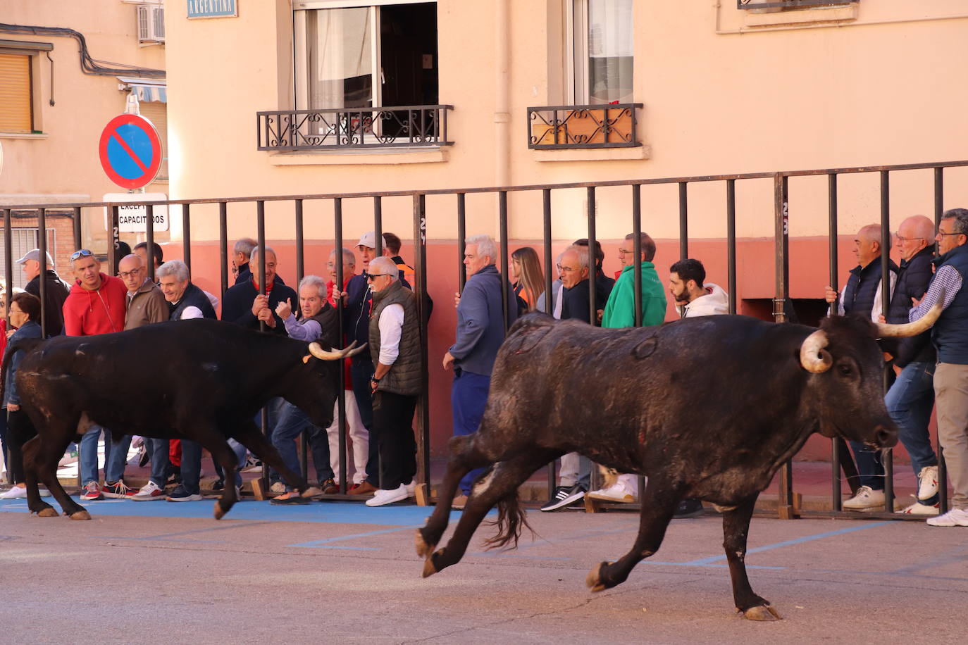 Charangas, degustaciones... Arnedo disfruta del penúltimo día de las fiestas