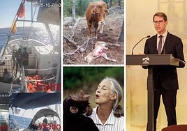 Las noticias del día