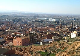 El Ayuntamiento de Alfaro destina en su web un apartado especial a 'La voz de la infancia'