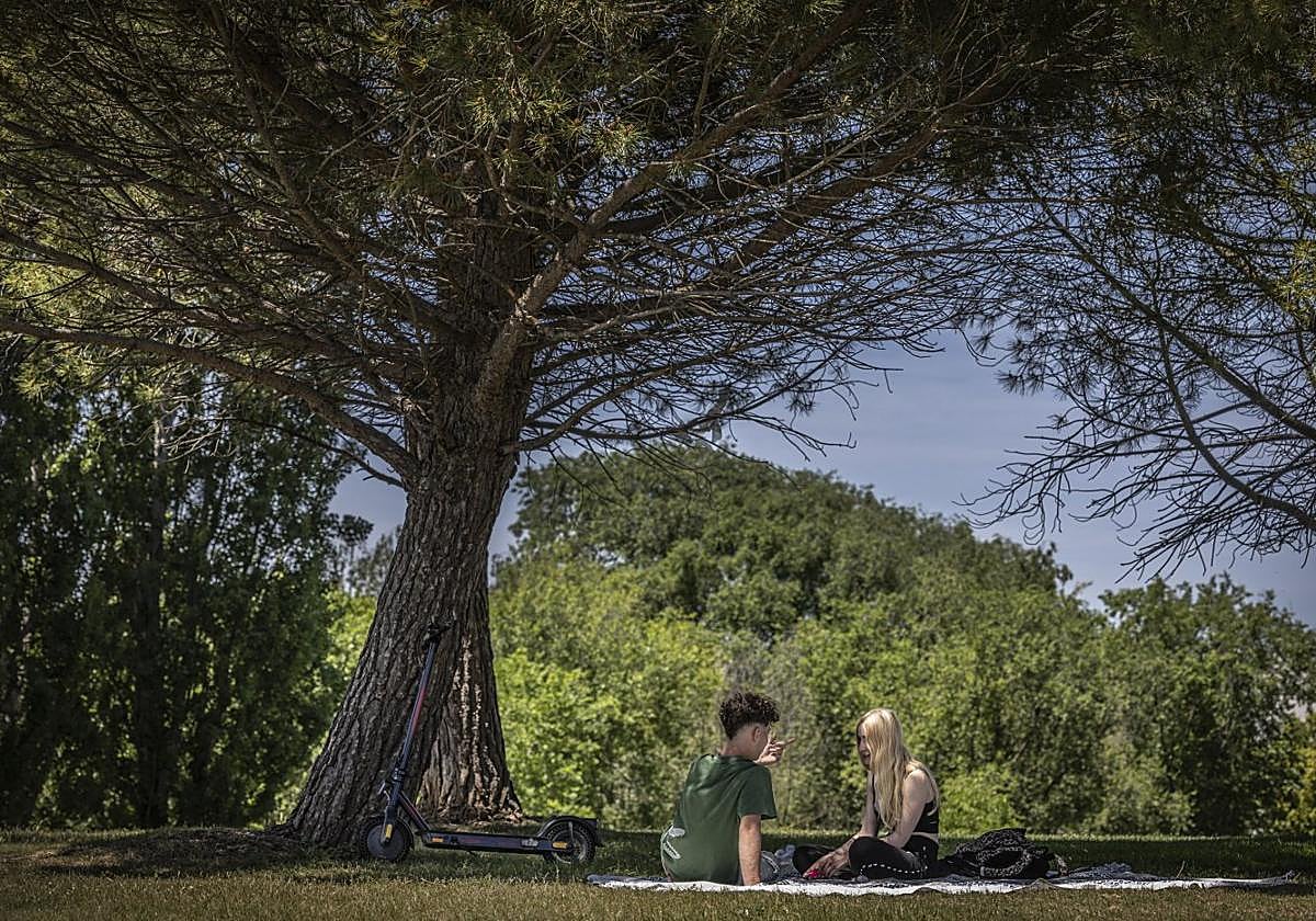 Un futuro más verde y saludable para la ciudad