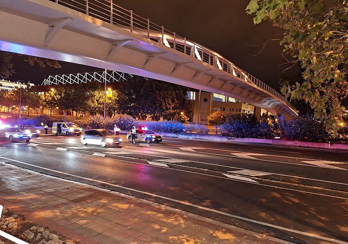 Lugar en el que se ha producido el atropello.