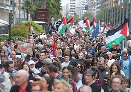 Manifestación de Logroño contra la guerra en Palestina