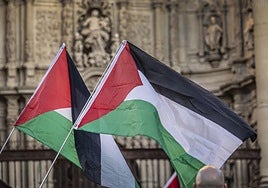 Logroño se suma a otras ciudades y se manifiesta esta tarde en apoyo a Palestina