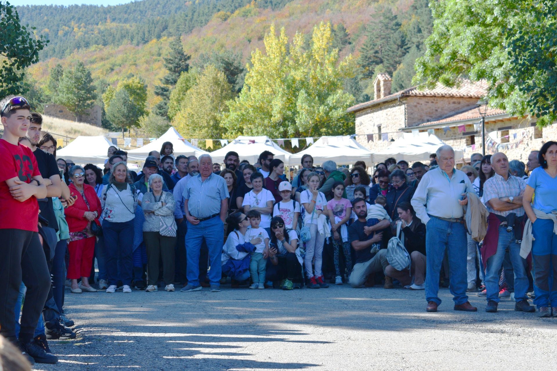 La XIX Fiesta de la Trashumancia, en imágenes