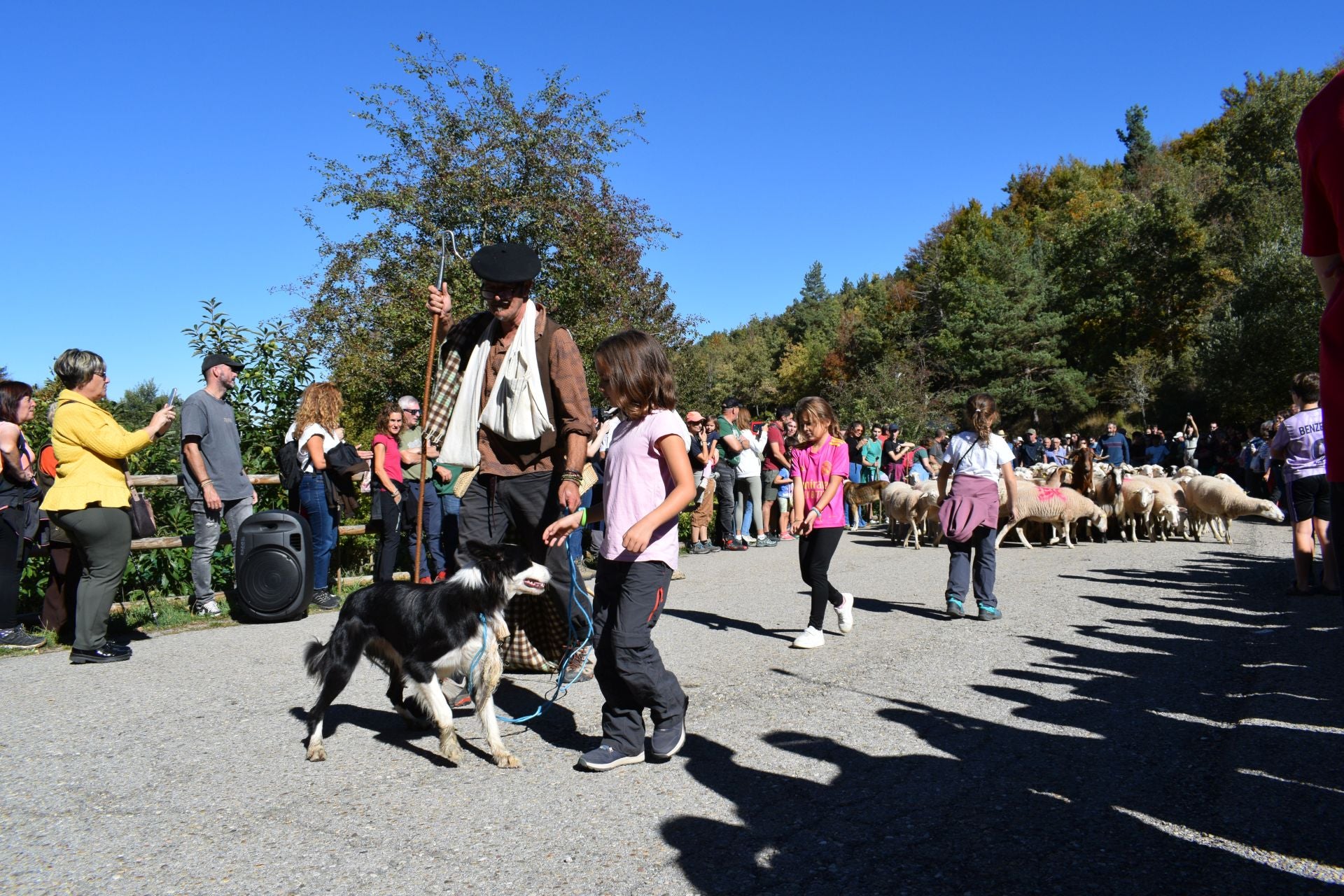 La XIX Fiesta de la Trashumancia, en imágenes