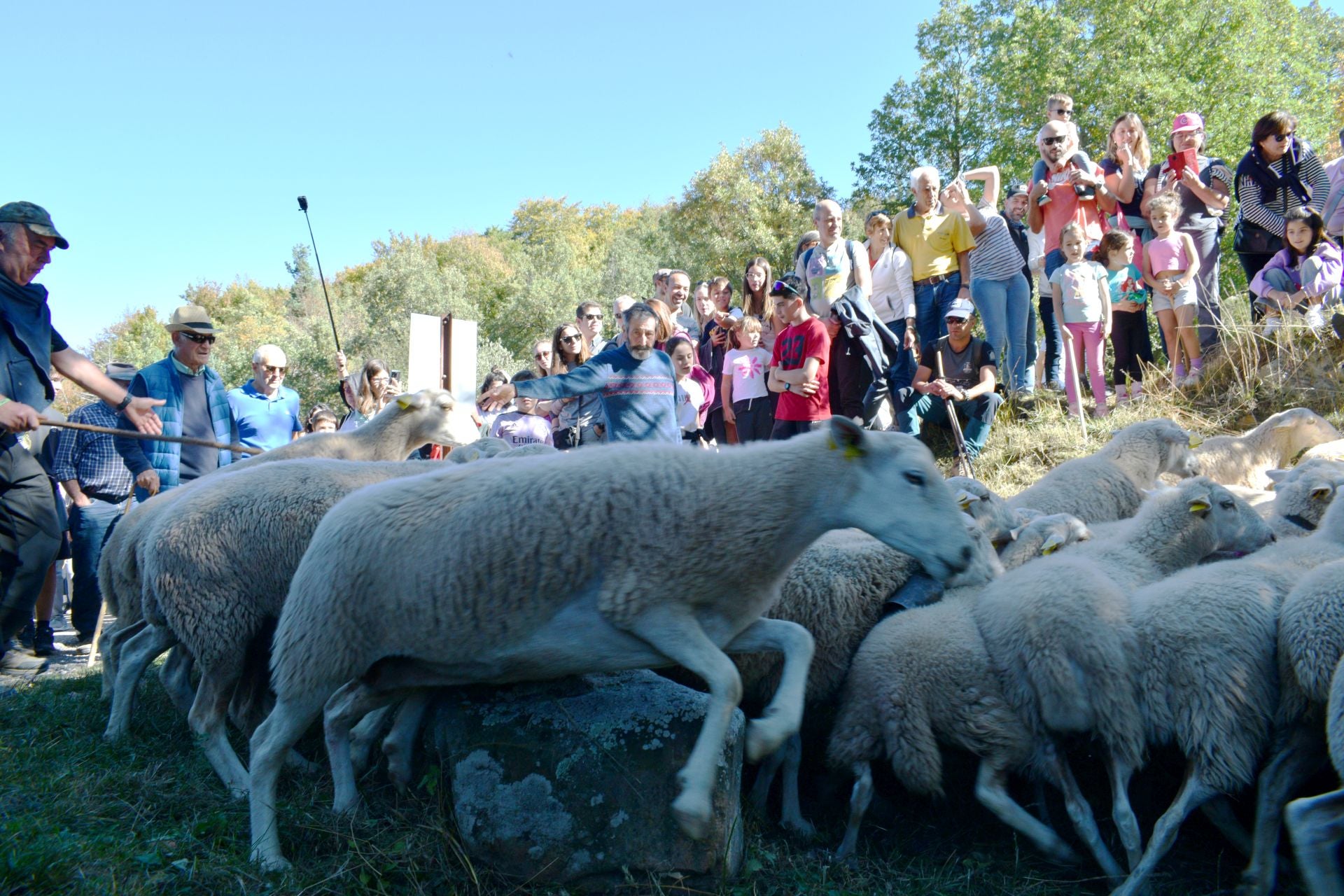 La XIX Fiesta de la Trashumancia, en imágenes