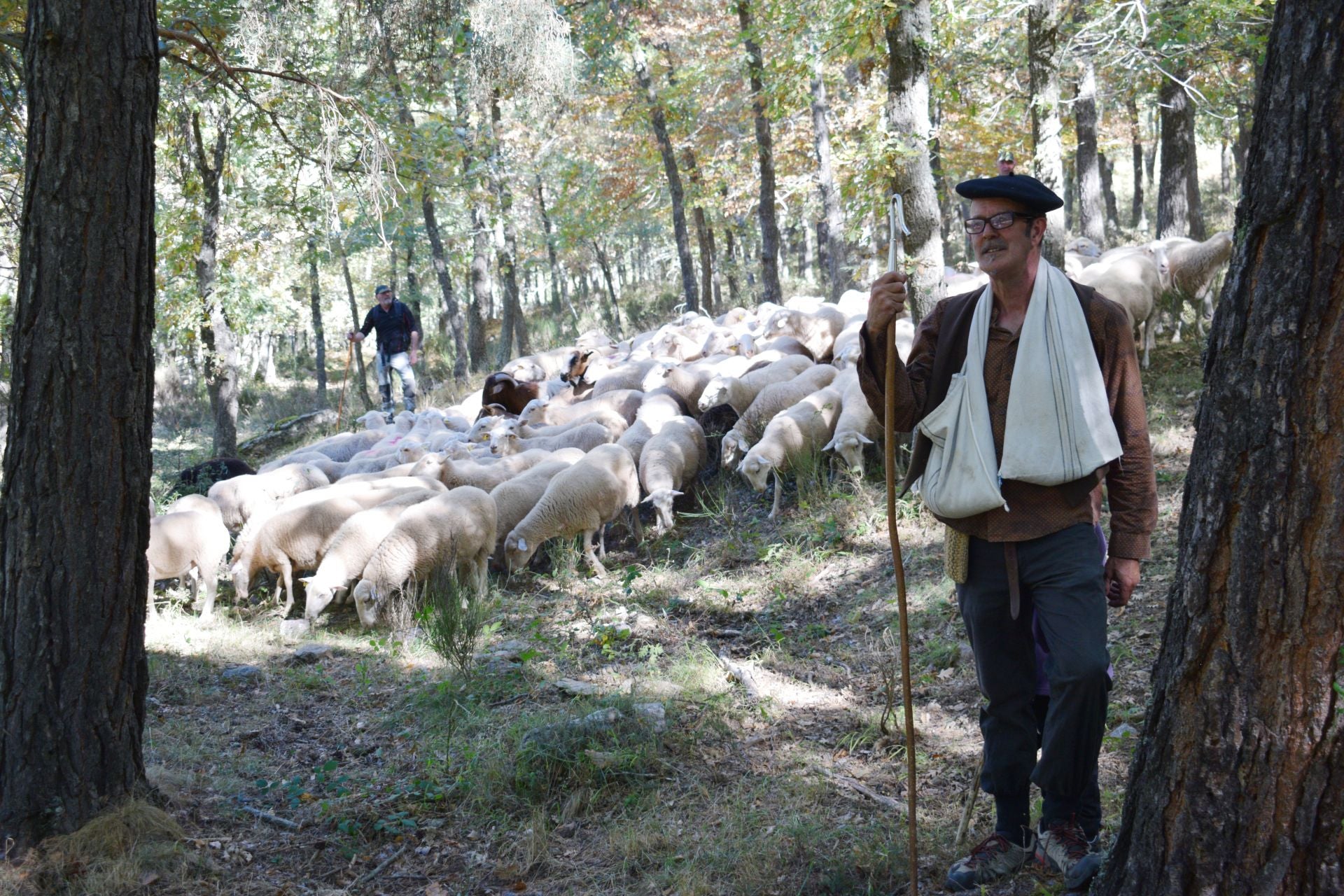 La XIX Fiesta de la Trashumancia, en imágenes