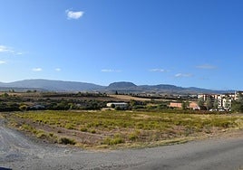 La parcela en la que se ha proyectado el campo de fútbol en la mañana de ayer, ya sin viñedo, entre los caminos de la Comisaria y de la Solana.