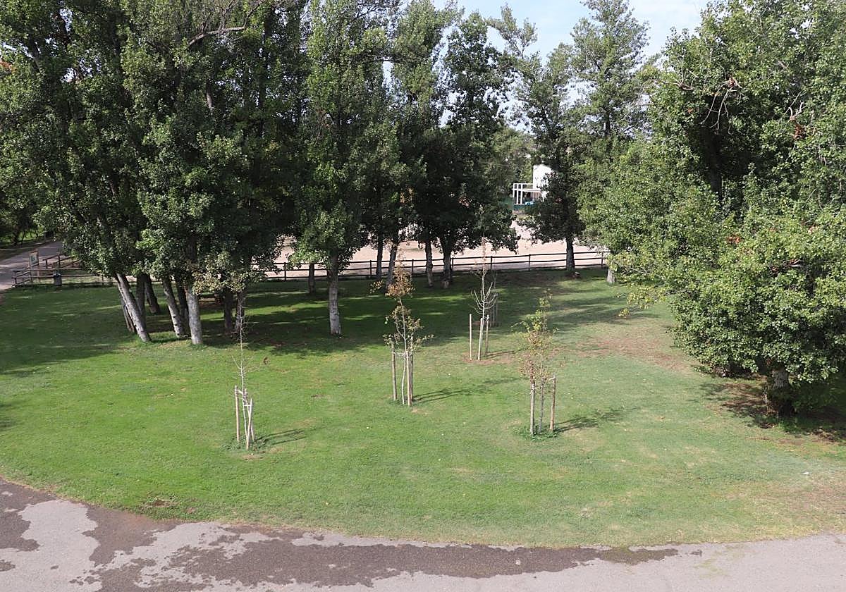 El circuito se ubicará en el parque del Cidacos arnedano.