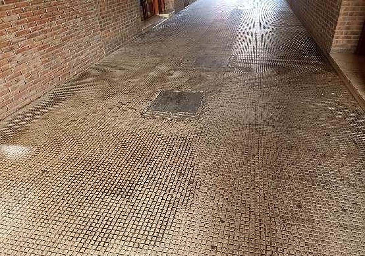 Los aseos autolimpiables, en el Teléfono del Lector