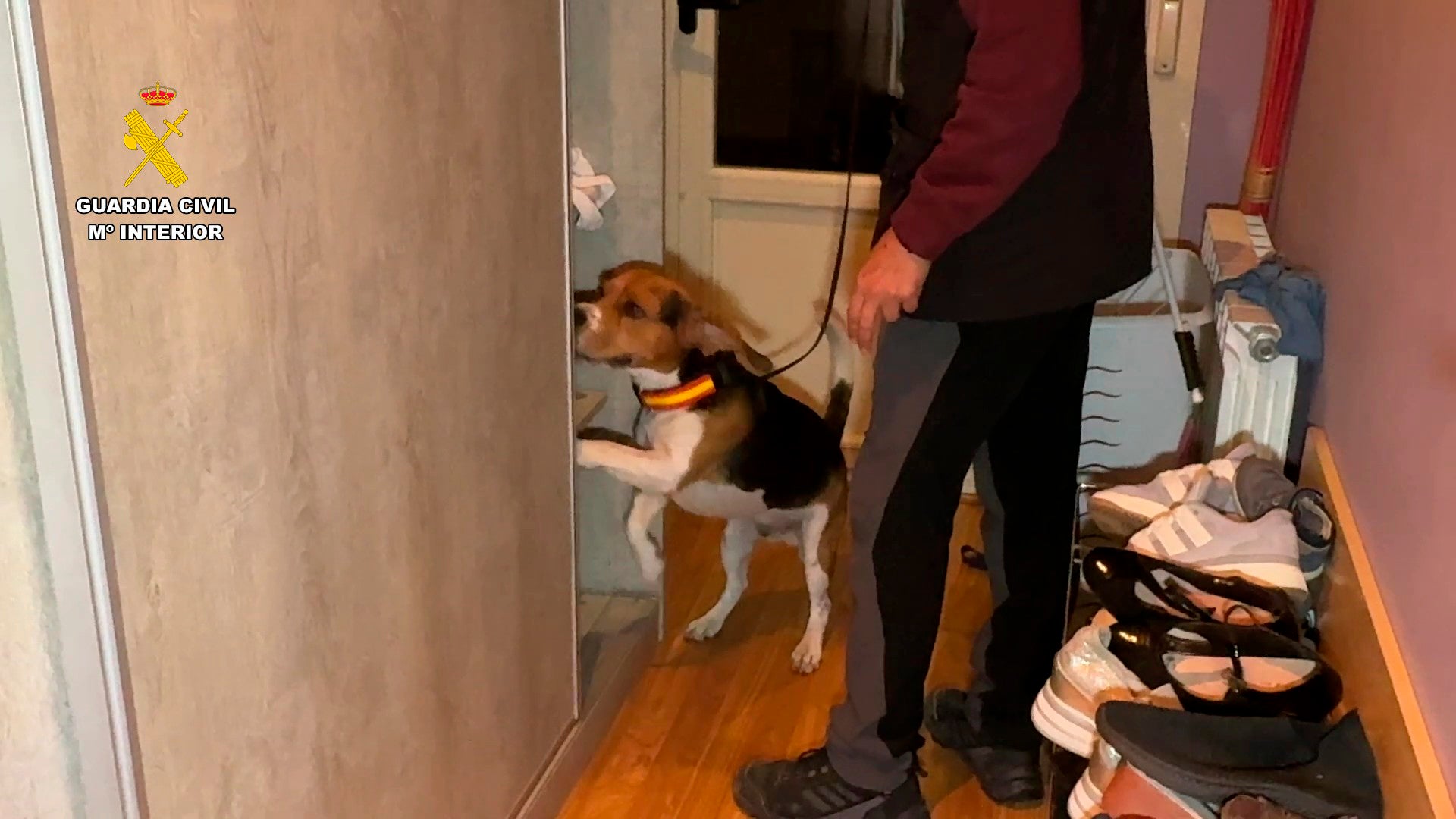 Las imágenes de la operación contra la explotación laboral en La Rioja Baja