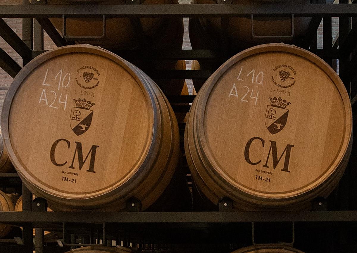 Imagen secundaria 1 - Zona con depósitos de madera, barricas en la nave donde reposa el vino e Íñigo D'harcourt, el responsable de guiar al enoturista por la bodega.