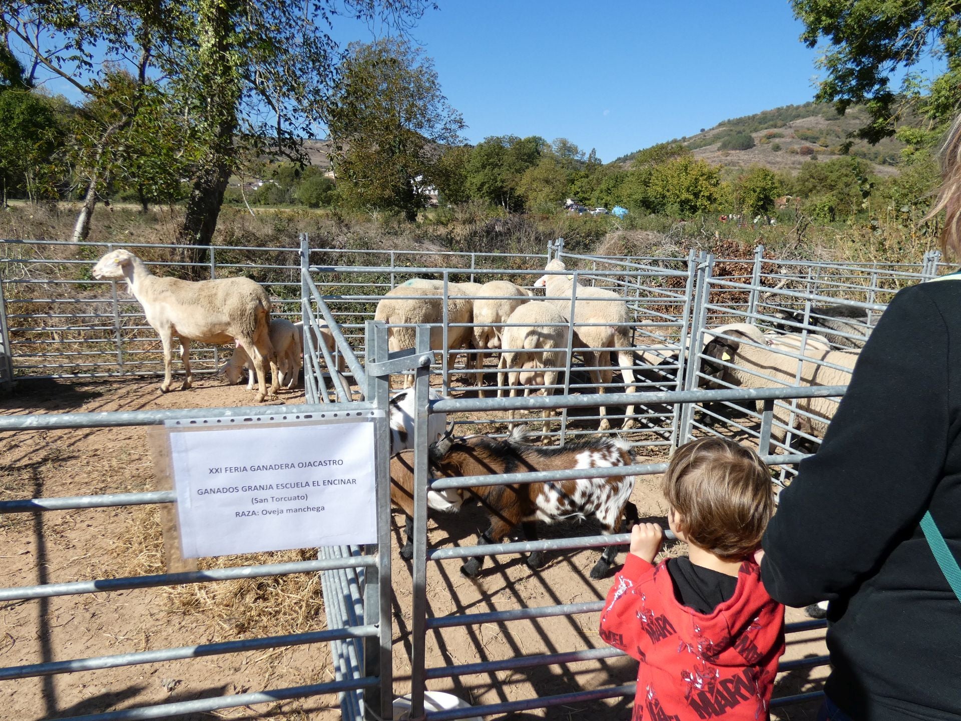 XXI Feria Ganadera y Artesanía Agroalimentaria de Ojacastro