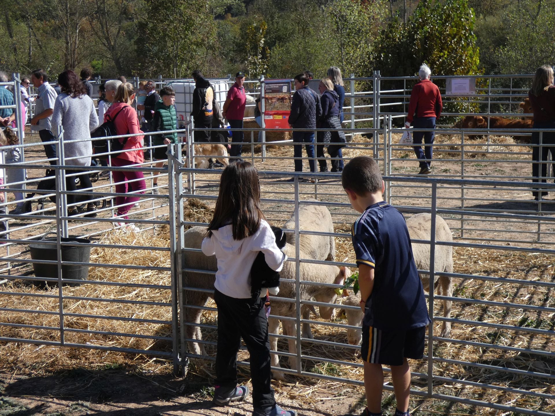 XXI Feria Ganadera y Artesanía Agroalimentaria de Ojacastro