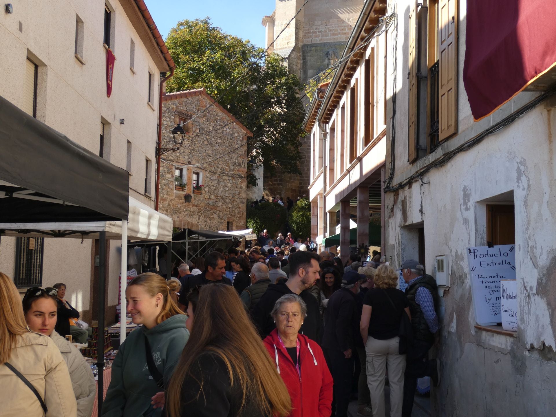 XXI Feria Ganadera y Artesanía Agroalimentaria de Ojacastro