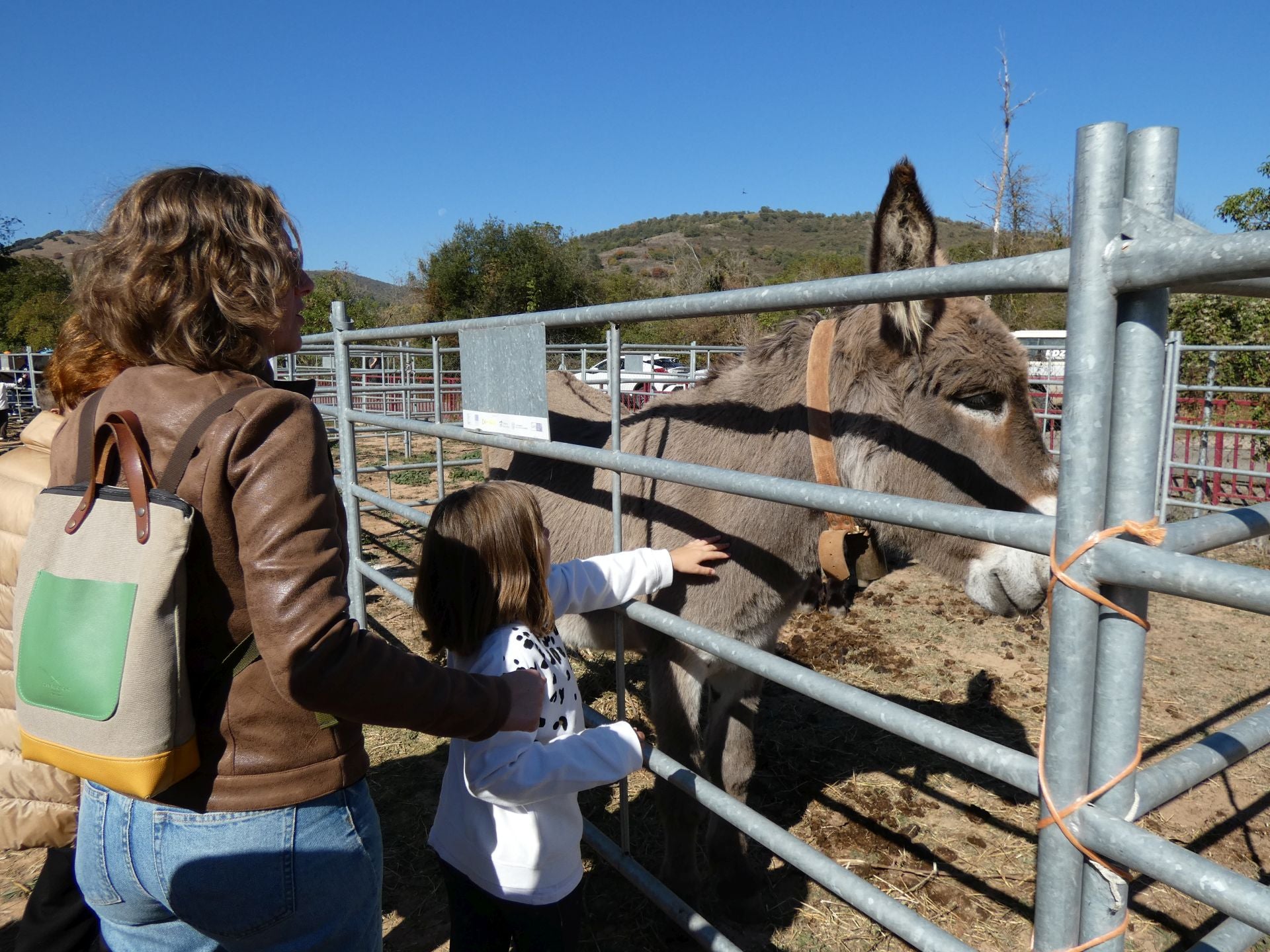 XXI Feria Ganadera y Artesanía Agroalimentaria de Ojacastro