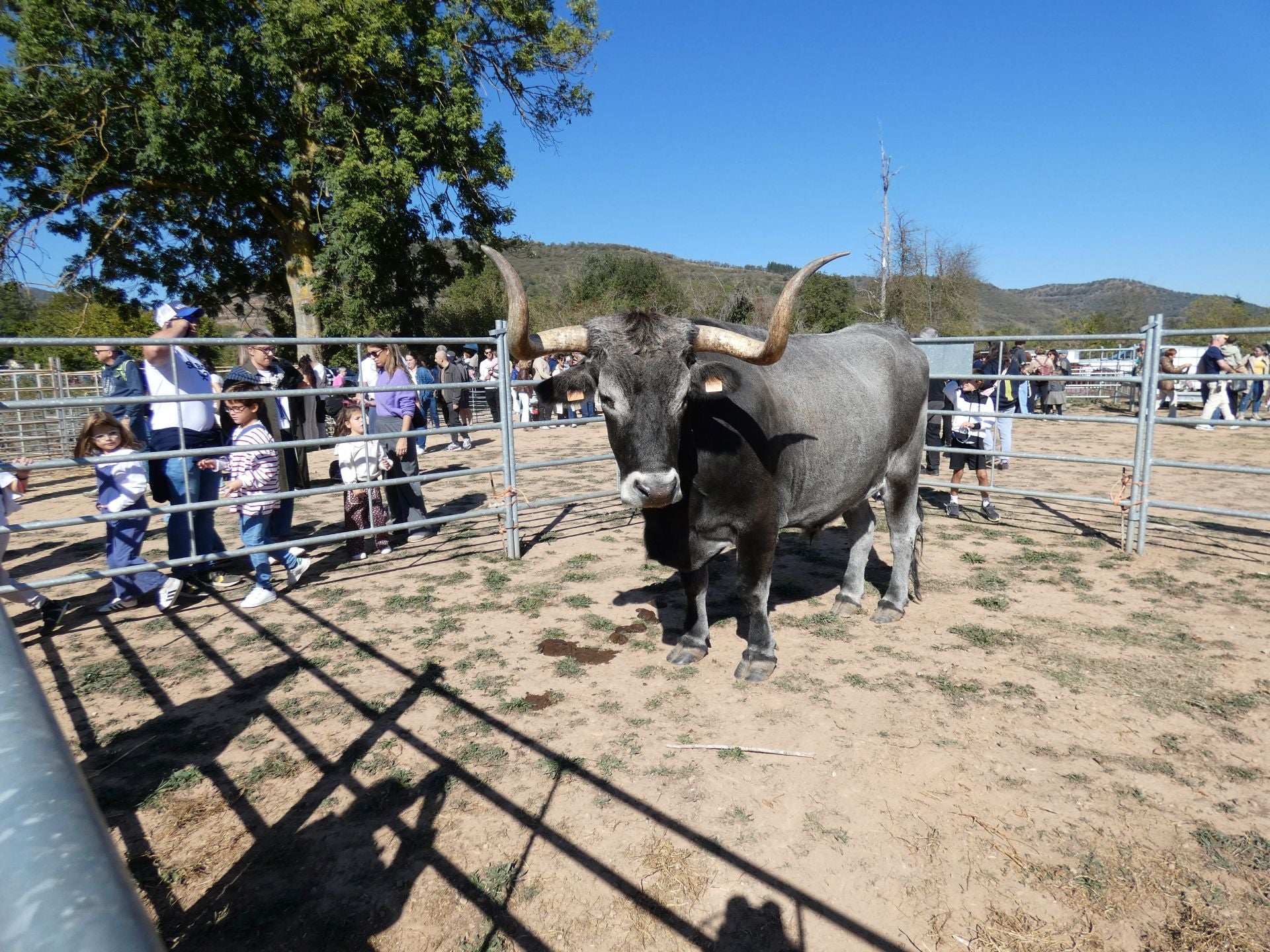 XXI Feria Ganadera y Artesanía Agroalimentaria de Ojacastro