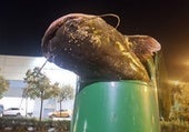 Aparece un siluro en una papelera de Logroño