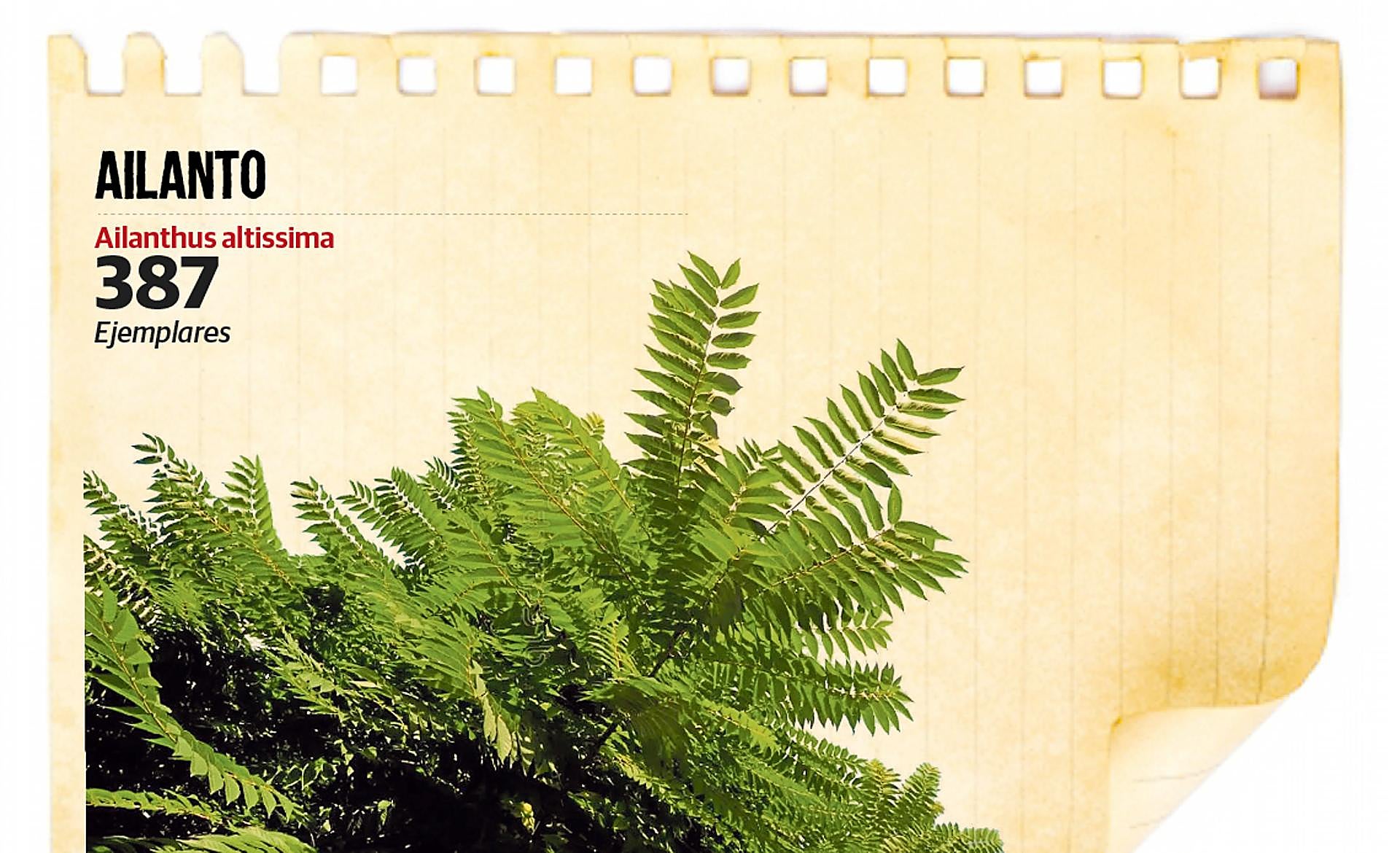 Scroll Story imagen 0